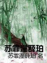 武碎星河txt